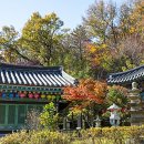 호국지장사 이미지