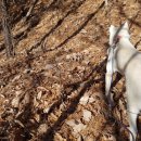 뒷동산농원 이미지