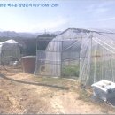 성주군대가면용흥보건진료소 | (2017타경3663) 경북 성주군 대가면 용흥리 770 <<토지(전)낙찰비결 상담>>