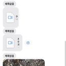 대신카프라자
