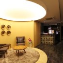 모텔렉시 이미지