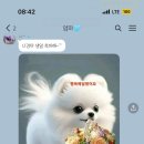 축하하고 축복해