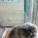 한성동물병원 이미지