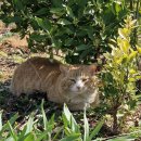 뽑기 좋은날 이미지