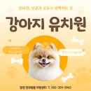 선샤인 반려견 유치원 이미지