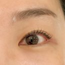 제이드브로우 블랙마스카라펌 솔직후기! 확실한 Before & After 대만족 (내돈내산 눈썹문신 예약각)