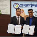 도그피아 애견 훈련 학교 이미지