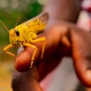 (주)만나 이미지