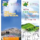 정선통나무펜션 이미지