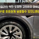 보헤미안틴팅 | 안산PPF 테슬라 모델Y 주니퍼 프런트패키지 시공 후기.
