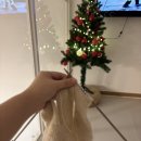 니팅앤 | 대바늘 | 캐시미어 더블니팅 스카프 완성 후기 💫