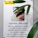 동의사랑한의원 네이버블로그