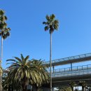 월드컵경기장 | 제주SK 제주월드컵경기장 원정 후기 | 근처 맛집 | 숙소 추천