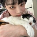 도도한 낙곱새 | 뜨뜻한 연말 보내고 계신쥐