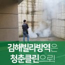 청춘청소방역 이미지