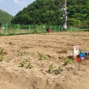 2020농장 이미지