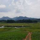 청풍호반낚시터 이미지