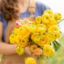 중간말농장 이미지