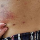 유천신세계정형외과의원 이미지