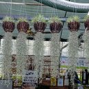 자립농장 이미지