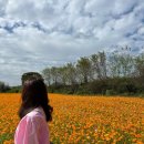 꽃단지 화장실 이미지