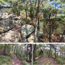 제893회차 8/27 서천 희리산(329 m) 산행 및 장항 송림 자연휴양림(맥문동축제)예약 신청 이미지