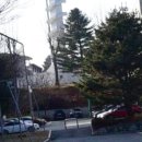 남궁태권도체육관 이미지