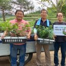 하당1리 이미지