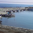 오가민박 이미지