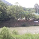 알프스관광펜션 이미지