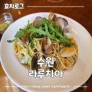 루치아 | 수원 신동카페거리 맛집 라루치아 내돈내산 후기