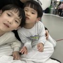 운천태권도 이미지