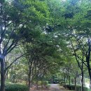 엘리트학생복 - 광주시 중앙로123번길 5 | [패션취업 - 후기] 학생복 취업 후기(패턴취업 / CAD취업 / 개발실취업 / 브랜드취업 / 취업추천 / 패턴...