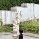 지정로 | 원주 소금산 그랜드밸리 출렁다리 케이블카 소요시간 입장료 코스 아이랑 후기