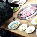 수양2 농장 이미지