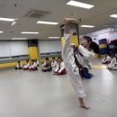 용인대 화산 태권도장 이미지