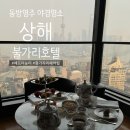 동방명주 | 상해 불가리호텔 애프터눈티후기 동방명주 야경명소 크리스마스트리