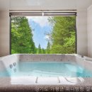 퍼니멍멍 갤럭시하우스점 | 퍼니멍멍 갤럭시하우스 경기도 펜션, 이곳 아니면 손해라는 사실 알고 계세요?