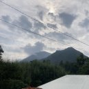 구담포레스트 이미지