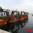 동해-단속-44 이미지