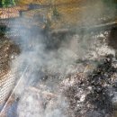 발화농장 이미지