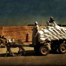 떠도는섬들 이미지