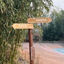 한옥안채 | [하동] 최참판댁 한옥호텔 안채 가족여행 숙소 추천 가격 예약방법