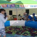 영동체육관 이미지