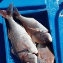 솔숲하우스 이미지