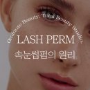 월곡2제 | 월곡속눈썹펌-오미뉴트뷰티 하월곡동 속눈썸펌은 여기서! 속눈썹 펌의 원리와 추천!!