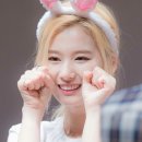 토끼사 이미지