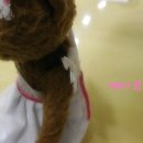 곰다시