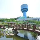 금강철새조망대 이미지