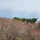 남해-137 이미지